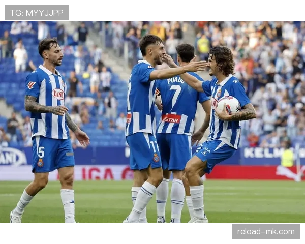 从葡超主力到英超重金引援:帕利尼亚的生涯跃迁